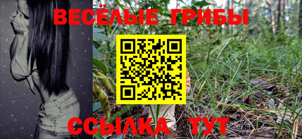 магазин    Галлюциногенные грибы Psilocybe  Вход с VPN  Иваново 