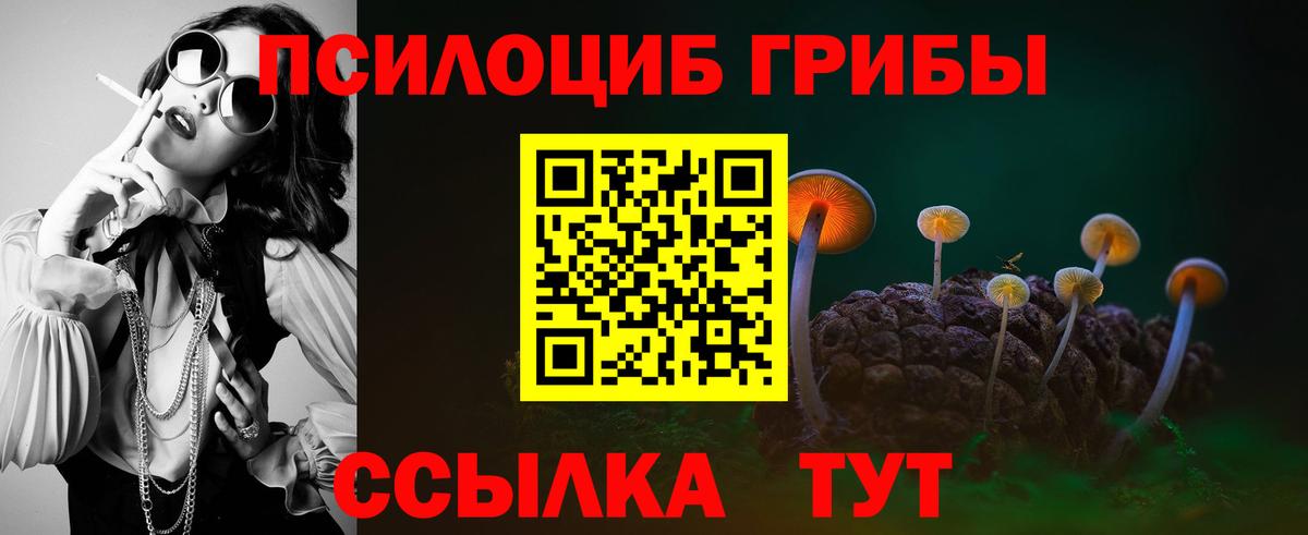 Псилоцибиновые грибы Psilocybine cubensis Иваново